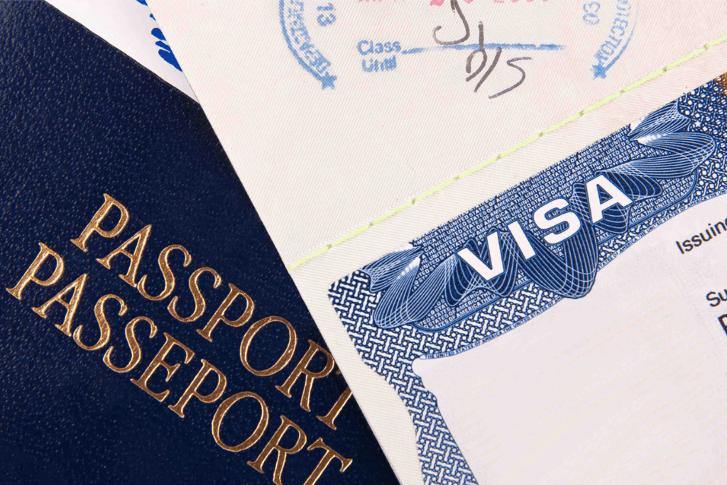 travel agency for visa processing